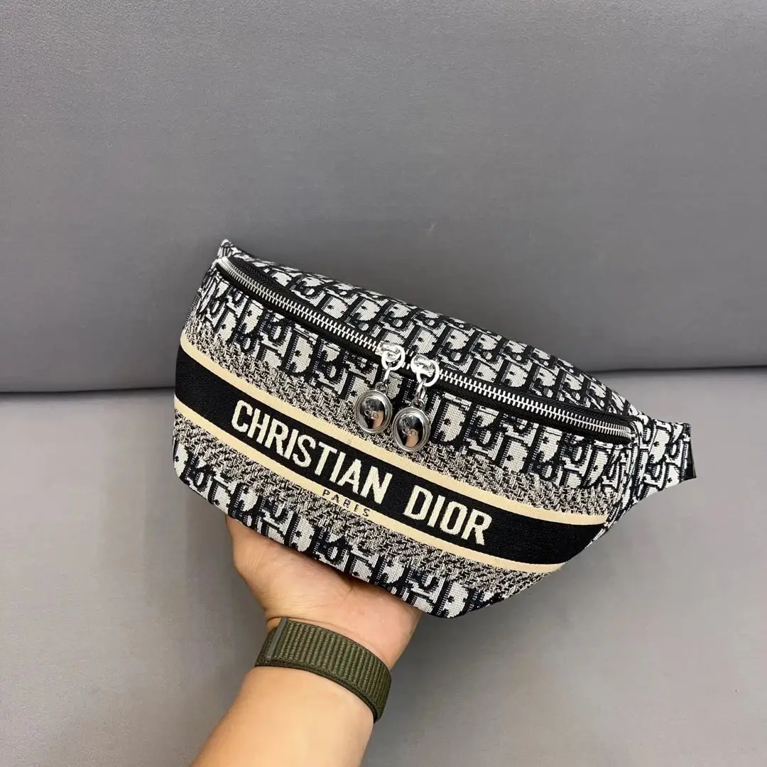 Dior Belt Bags [15 styles] 2